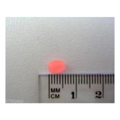 Gifts Under $20 Surecatch 226 Pc Whiting Pack In Fishing Tackle Box - Tackle Kit 16 Gifts Under $20 Surecatch 226 Pc Whiting Pack In Fishing Tackle Box - Tackle Kit -Terminal Tackle Sales 2022 309pkw 6