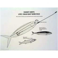 Wilson Live Bait/Dead Bait Wire Rig - #4 Treble & Hoodlum - 69lb Wire Trace 18 Wilson Live Bait/Dead Bait Wire Rig - #4 Treble & Hoodlum - 69lb Wire Trace -Terminal Tackle Sales 2022 331rlbdbwr4 8