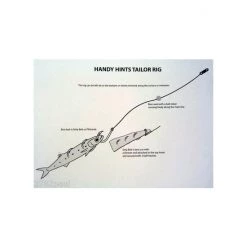 Wilson Tailor Fishing Rig 3x4/0 Hook-Setup - 40lb Clear Mono Leader -Terminal Tackle Sales 2022 331rtr4 0 6