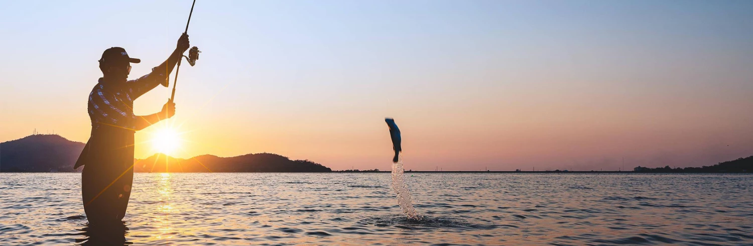 Terminal Tackle Sales 2022 -Terminal Tackle Sales 2022 未标题 1